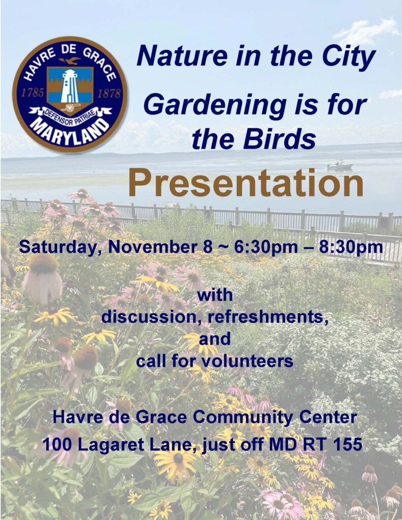 Nature In The City Nov 8, 2025